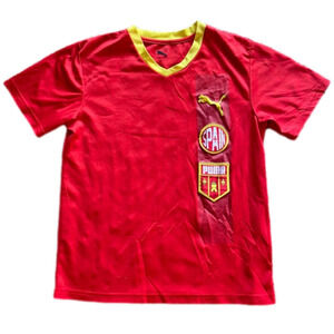 Puma Kids 14 Spain Short Sleeve Jersey